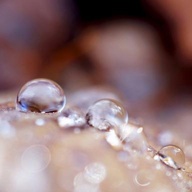 Constant Rains