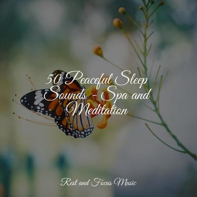 Sleep Soundtrack