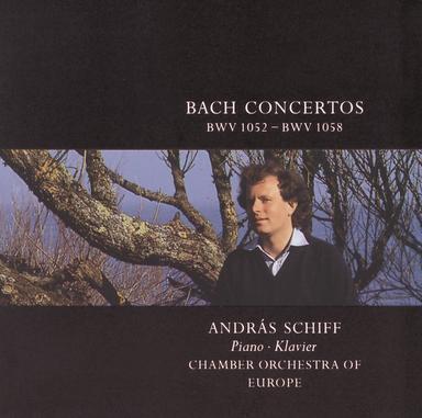 Concerto for Keyboard, Strings, and Basso continuo No. 2 in E, BWV 1053: 1. (Allegro)