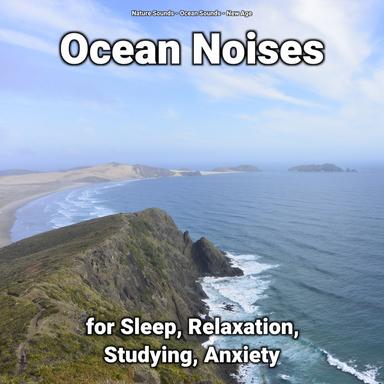 Ocean Sounds to Relax Your Mind