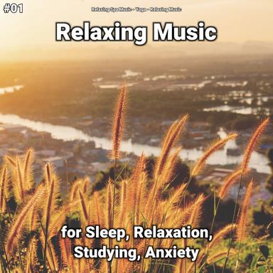 Calm Music to Sleep By