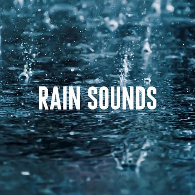 Perfect Rain
