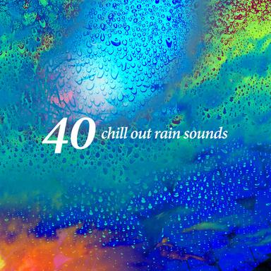 Rain and Bird Songs