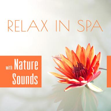 Wellness Music