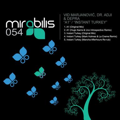 Instant Turkey - Mancha Afterhours Re-Rub