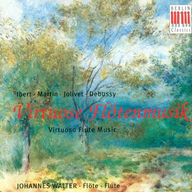 Flute Concerto: I. Allegro