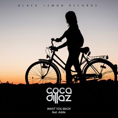 Want You Back - Radio Edit