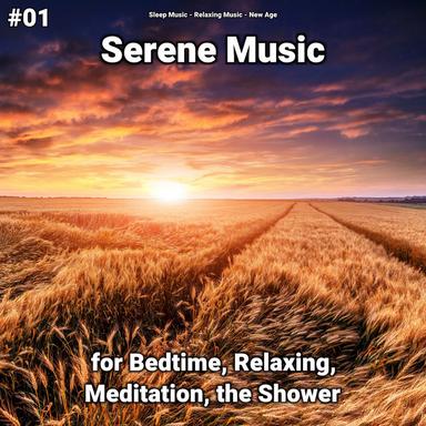 Placid Zen Music