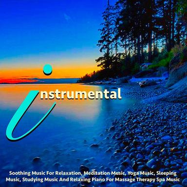 The Best Instrumental Music