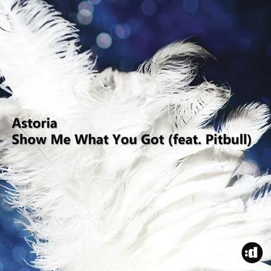 Show Me What You Got (feat. Pitbull) - Bodybangers Edit
