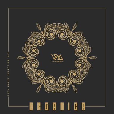 Drip Drop - Original Mix