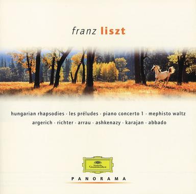 Piano Concerto No. 1 in E-Flat Major, S. 124: I. Allegro maestoso