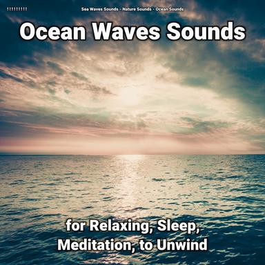 Ocean Sounds for Kids