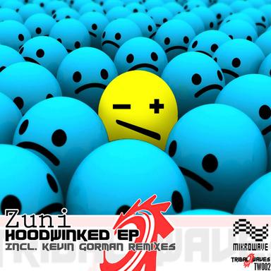 Hoodwinked - Kevin Gorman - Second Wave