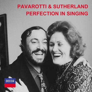 Ernani / Part 4: "Solingo, errante misero" - Live In New York / 1981