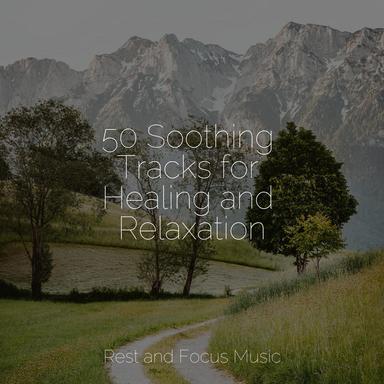 Calming Rains Meditation