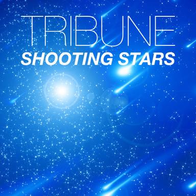 Shooting Stars - Sound Artz Remix Edit