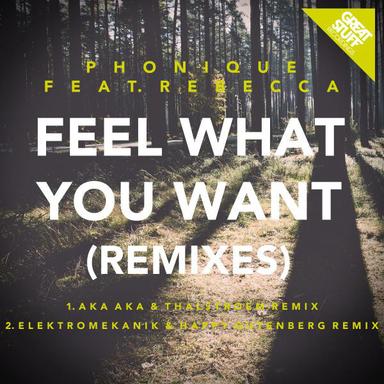 Feel What You Want - AKA AKA & Thalstroem Remix