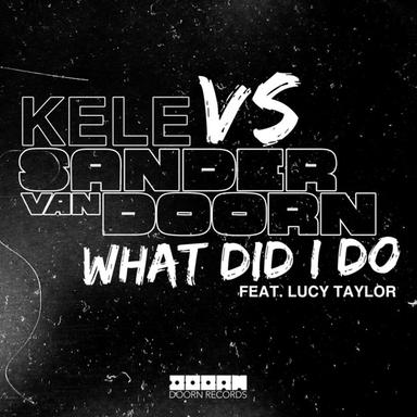What Did I Do - Radio Edit