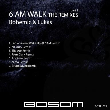 6 Am Walk - Andineo Remix