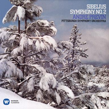 Sibelius: Symphony No. 2 in D Major, Op. 43: I. Allegretto
