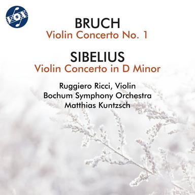 Violin Concerto in D Minor, Op. 47: III. Allegro ma non tanto