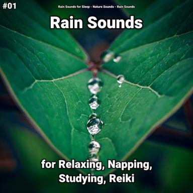 Pure Rain Sounds to Chill