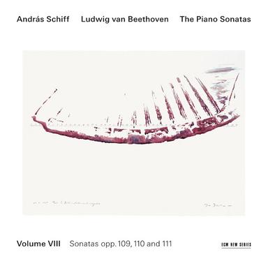 Piano Sonata No. 32 in C Minor, Op. 111: I. Maestoso – Allegro con brio ed appassionato - Live at Reitstadel, Neumarkt, 2006