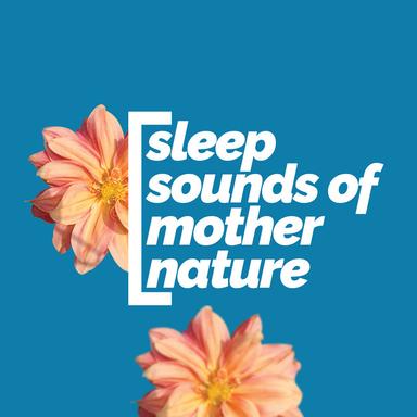 Natural Ambience Gentle Tone