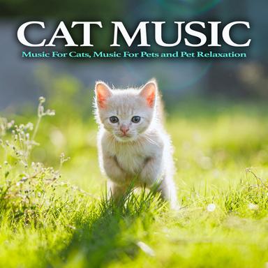 Peaceful Cat Music