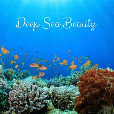 Cool Ocean