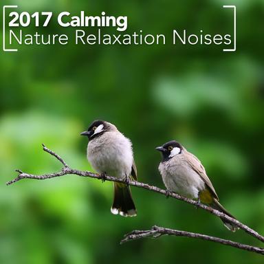 Binaural Birds in Nature