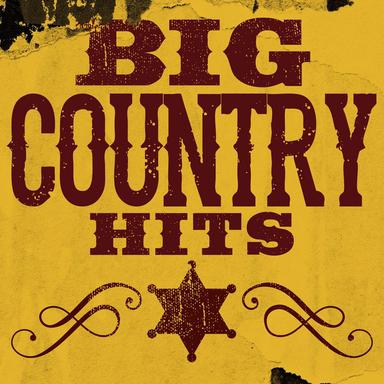 (I Wanna Hear) A Cheatin' Song