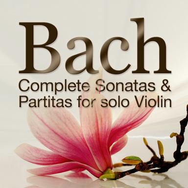 Sonata No. 3 in C Major for Solo Violin, BWV 1005: III. Allegro assai