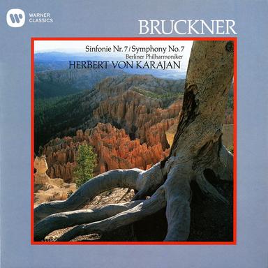 Bruckner: Symphony No. 7 in E Major, WAB 107: I. Allegro moderato (ed. Haas)