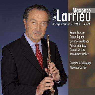 Flute Concerto in D minor, Wq. 22 (H. 426): 2. Andante