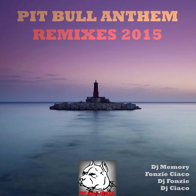 Pit Bull Anthem - DJ Fonzie Radio Edit