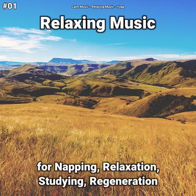 Relaxing Music to Make You Sleep Instantly