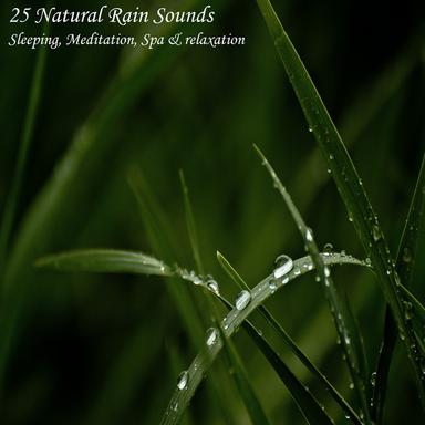 Gentle Rain on a Car Roof