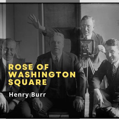 Rose of Washington Square