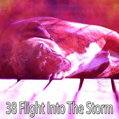 Elite Nights Rain