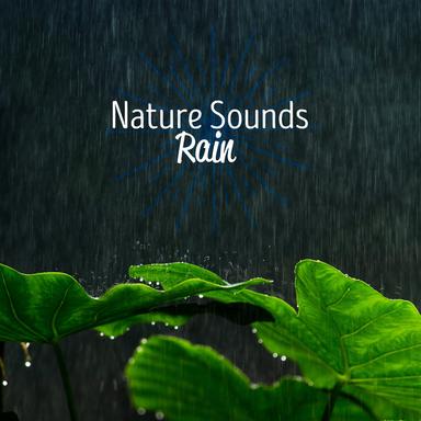 Rainy Day