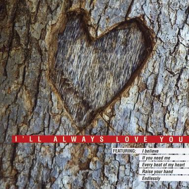 I've Never Found A Girl (To Love Me Like You)