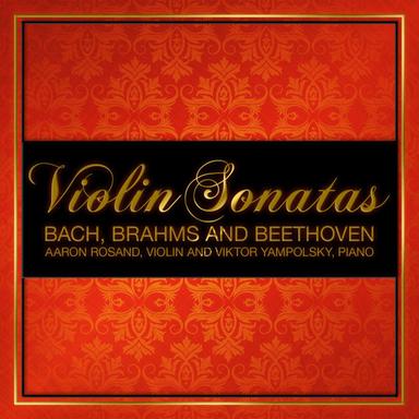 Sonata No. 3 For Violin And Piano In D Minor, Op. 108: II. Adagio