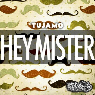 Hey Mister - Radio Edit