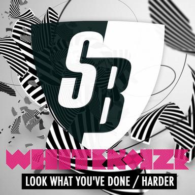 Look What You've Done - Original Mix