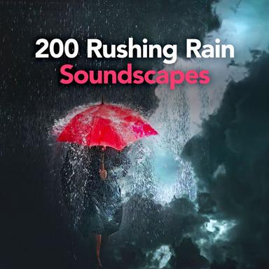 Simple Rain Mornings