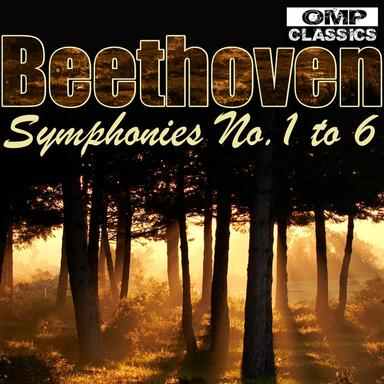 Symphony No. 1 in C Major, Op. 21: II. Andante cantabile con moto