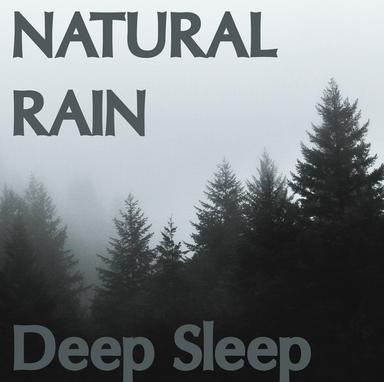 Listening to the Rain from Shelter