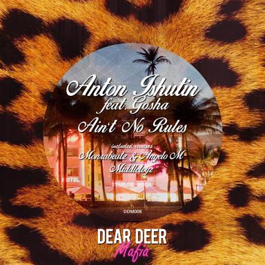 Ain't No Rules - Middletoyz Remix